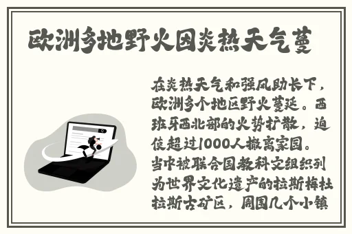妈妈的朋友电影
