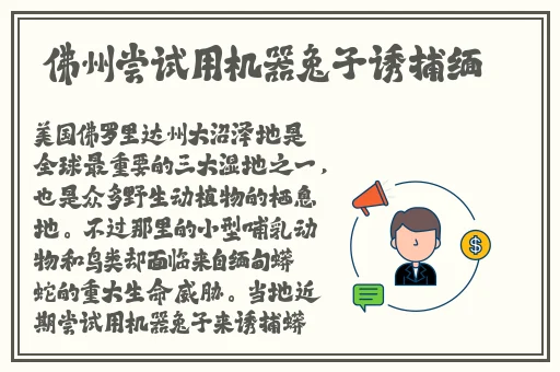7m在线视频